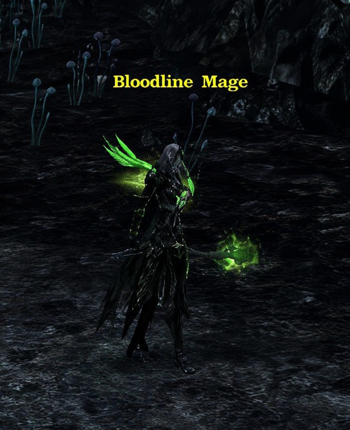 Bloodline Mage