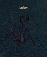 Ankra