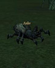 Asle