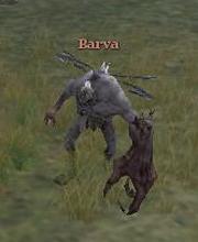 Barva
