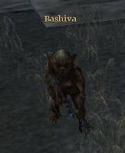 Bashiva