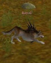 Bayal