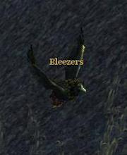 Bleezers