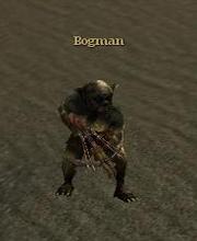 Bogman