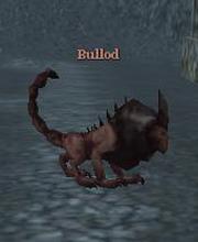 Bullod