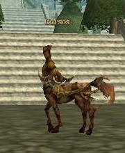 Corsos
