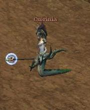 Cuirinia