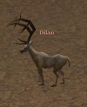 Dilan