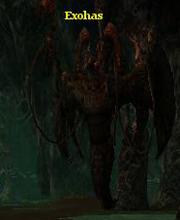 Exohas