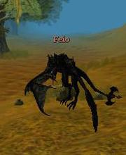 Feio