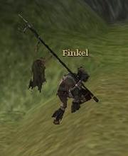 Finkel