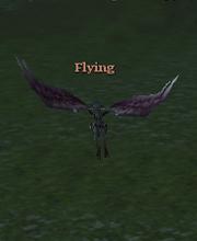 Flying