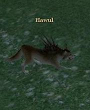 Hawul