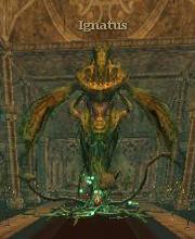 Ignatus