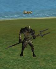 Ingo