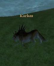 Karkas
