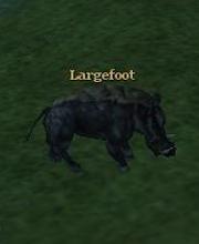Largefoot