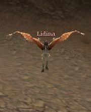 Lidina