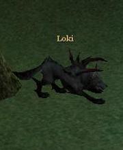 Loki