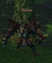 Manus