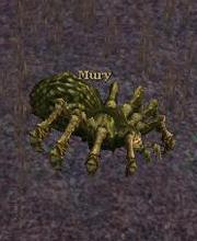 Mury