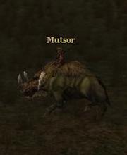 Mutsor