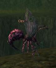 Oroch