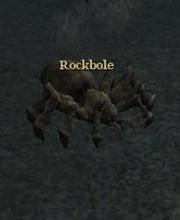 Rockbole