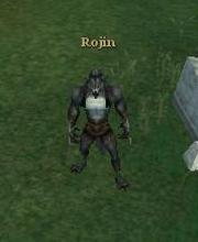 Rojin