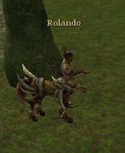 Rolando