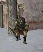 Sapan