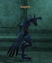 Sapen