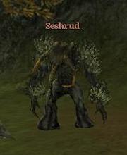 Seshrud