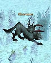 Shaconne