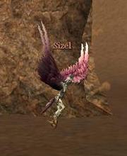 Sizel