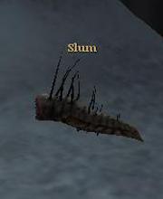 Slum