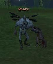 Snare