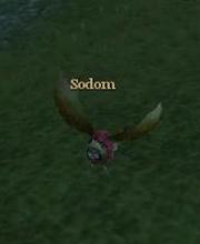 Sodom