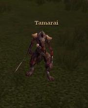 Tamarai