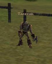 Taravan
