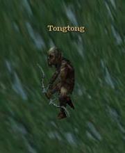 Tongtong