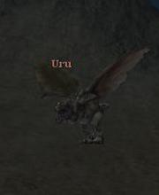 Uru
