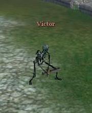 Victor