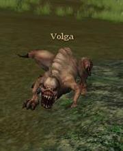 Volga