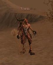 Vorn