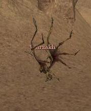 Warzakh