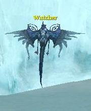 Watcher